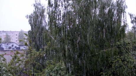 7 августа ожидаются кратковременные дожди, ливни, грозы, град