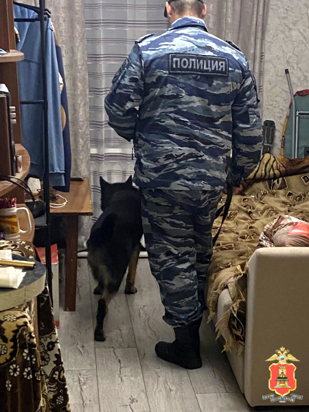 В Старице в двух квартирах сотрудники полиции обнаружили наркотики