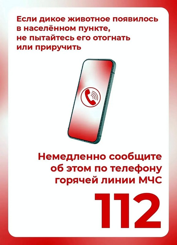 bez ziv