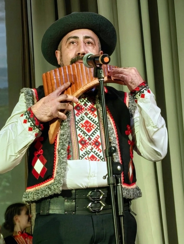 rodniki