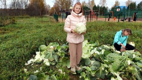 Берновские школьники попробуют плоды своего труда