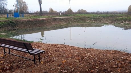В деревне Кузнецовка благоустроен пруд