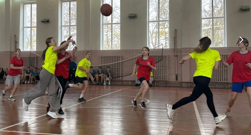 volbol